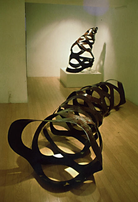 kanshitsu work, Galerie Pousse, 1995